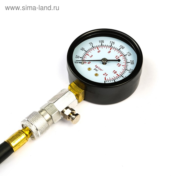 Компрессометр для бензиновых двигателей с 2 адаптерами в кейсе Компрессометр для бензиновых двигателей с 2 адаптерами в кейсе
