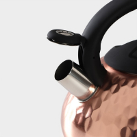 Чайник со свистком из нержавеющей стали Magistro Glow, 3 л, индукция, ручка soft-touch, цвет бронзовый Чайник со свистком из нержавеющей стали Magistro Glow, 3 л, индукция, ручка soft-touch, цвет бронзовый