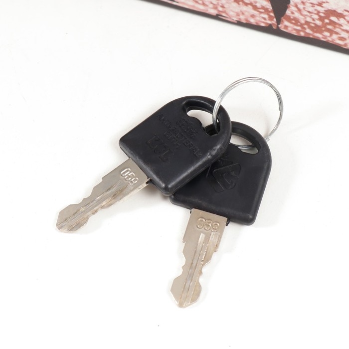 Сейф-книга дерево кожзам Сейф-книга дерево кожзам "Наскальные рисунки. Лев" 17х11х5 см