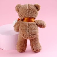 Мягкая игрушка &laquo;Мишка&raquo;, цвет коричневый