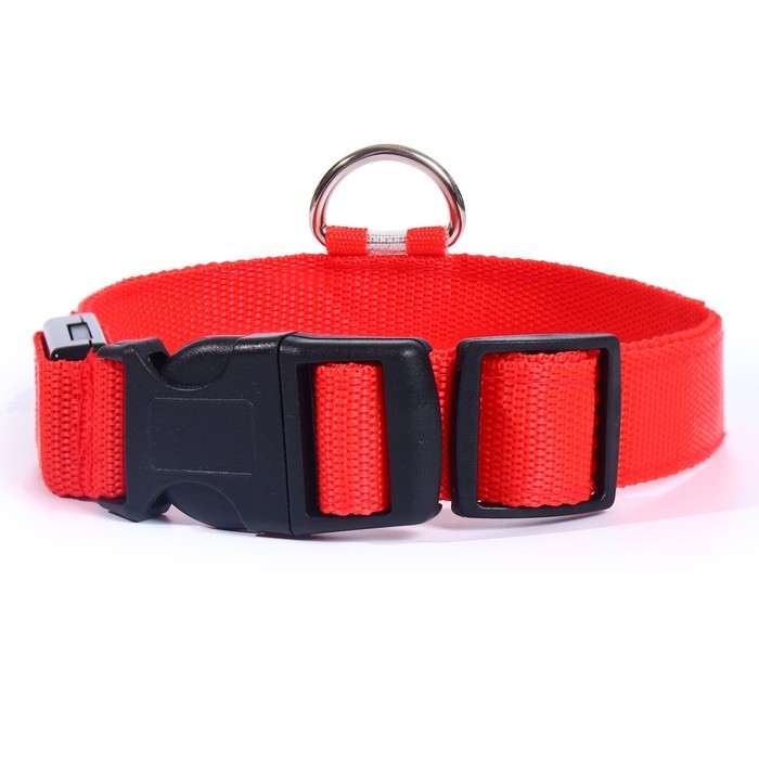 Ошейник с подсветкой размер XL, ОШ 52-60 х 2,5 см, 3 режима свечения красный Ошейник с подсветкой размер XL, ОШ 52-60 х 2,5 см, 3 режима свечения красный