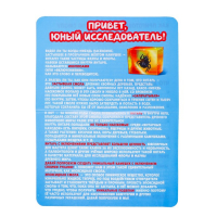 Набор для опытов &laquo;Мир природы&raquo;, 2 фигурки, с эпоксидной смолой