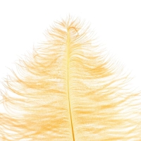 Перо для декора, длина: от 45 до 60 см, цвет персиковый Перо для декора, длина: от 45 до 60 см, цвет персиковый