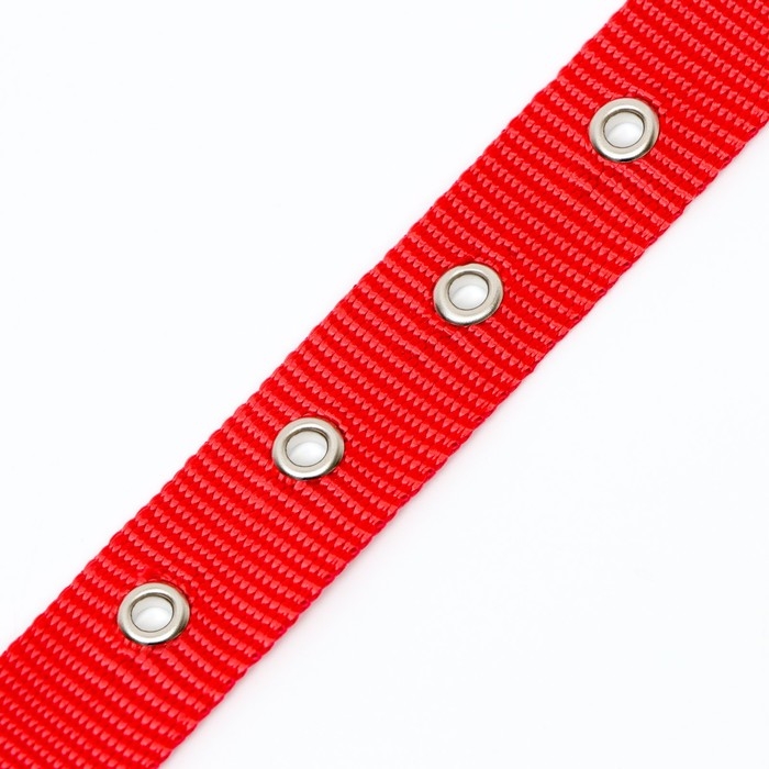 Ошейник металлический плетённый с вставкой из нейлона, 60 см х 3 мм Ошейник металлический плетённый с вставкой из нейлона, 60 см х 3 мм