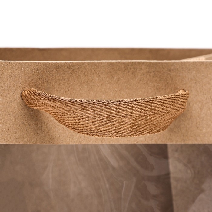 Пакет подарочный, с окном, 25 х 18 х 13 см, крафт Пакет подарочный, с окном, 25 х 18 х 13 см, крафт