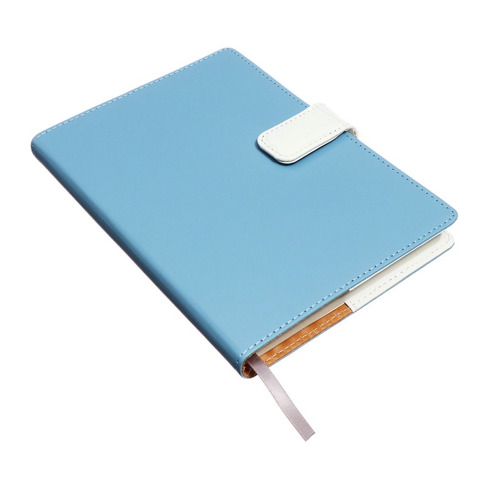 Органайзер на кольцах, А5, 128л, клетка, обл.кожзам, с хлястиком, Бизнес, голубой Органайзер на кольцах, А5, 128л, клетка, обл.кожзам, с хлястиком, Бизнес, голубой