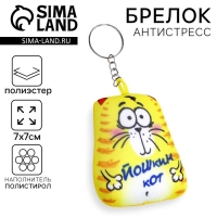 Брелок-антистресс &laquo;Йошкин кот&raquo;, 7&times;7 см