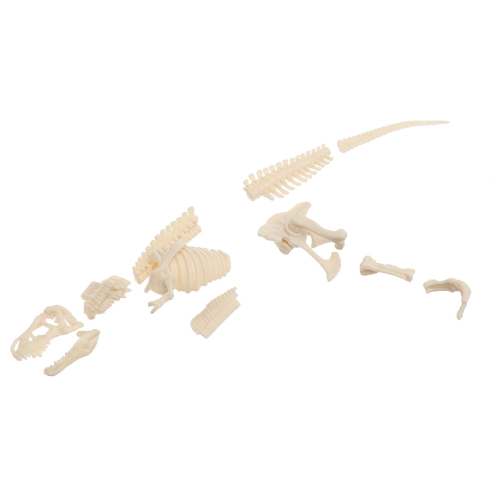 Набор для опытов «Диномир: Тираннозавр», строение тела динозавра, 33 детали Набор для опытов «Диномир: Тираннозавр», строение тела динозавра, 33 детали