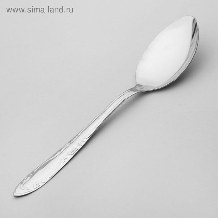 Набор столовых ложек «Общепит», толщина 0,7 мм, длина 19 см, 6 шт, цвет серебряный Набор столовых ложек «Общепит», толщина 0,7 мм, длина 19 см, 6 шт, цвет серебряный