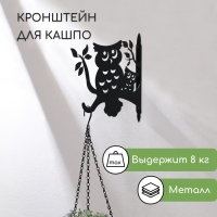 Кронштейн для кашпо, 25 см, &laquo;Сова&raquo;, Greengo