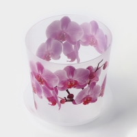 Горшок для орхидей с поддоном &laquo;Деко&raquo;, 1,2 л