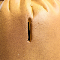 Копилка "Мешок сто тысяч" коричневый, 14х20х32см