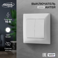 Выключатель Luazon Lighting "Антей", 10 А, 2 клавиши, скрытый, белый Выключатель Luazon Lighting "Антей", 10 А, 2 клавиши, скрытый, белый