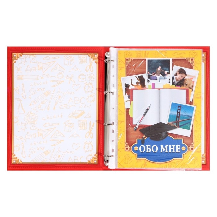 Папка школьная на кольцах &laquo;Портфолио школьника&raquo;, 13 листов-разделителей, 24,5 х 32 см.