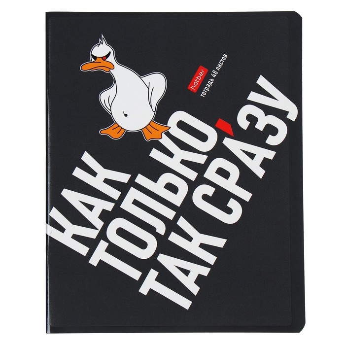 Тетрадь 48 листов в клетку Тетрадь 48 листов в клетку "Гусь умный", обложка мелованный картон, выборочный лак, скругленные углы, 5В МИКС