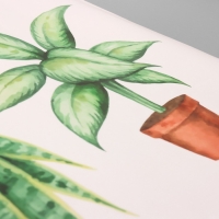 Наклейка пластик интерьерная цветная "Домашние растения" 40х60 см