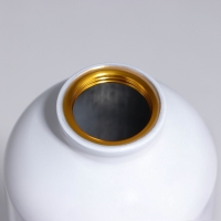 Бутылка для воды &laquo;Эволюция&raquo;, 500 мл