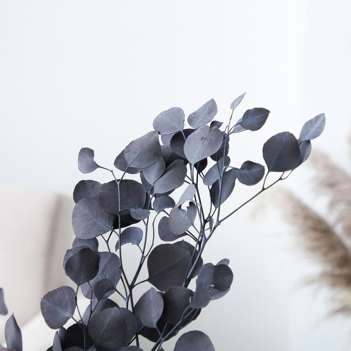 Сухоцвет персикого дерева, 50 г, длина &mdash; 70 см, цвет фиолетовый