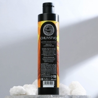 Бальзам для волос, яркость и укрепление, 300 мл, CHUVSTVO by URAL LAB Бальзам для волос, яркость и укрепление, 300 мл, CHUVSTVO by URAL LAB