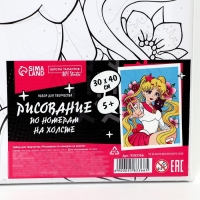 Картина по номерам на холсте с подрамником &laquo;Лунная принцесса&raquo;, 30 х 40 см