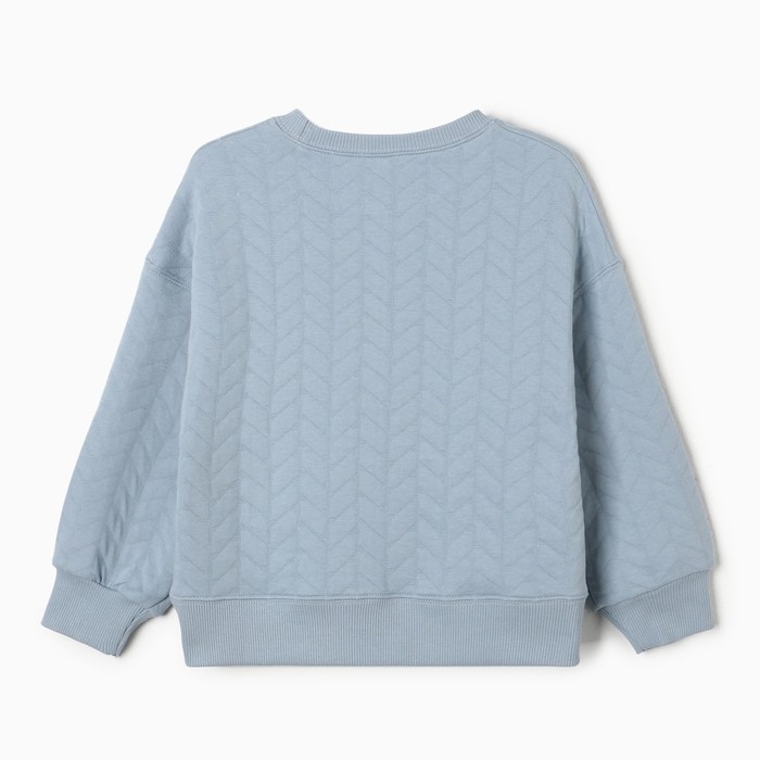 Свитшот для девочек, цвет серо-голубой, размер 116 см Свитшот для девочек, цвет серо-голубой, размер 116 см