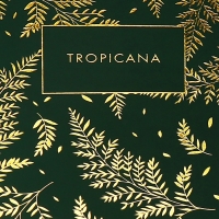 Ежедневник недатированный, A5, 136 листов, кожзам, deVENTE. Tropicana, твердая обложка, тиснение фольгой, перфорация, ляссе, блок 70%, темно-зеленый