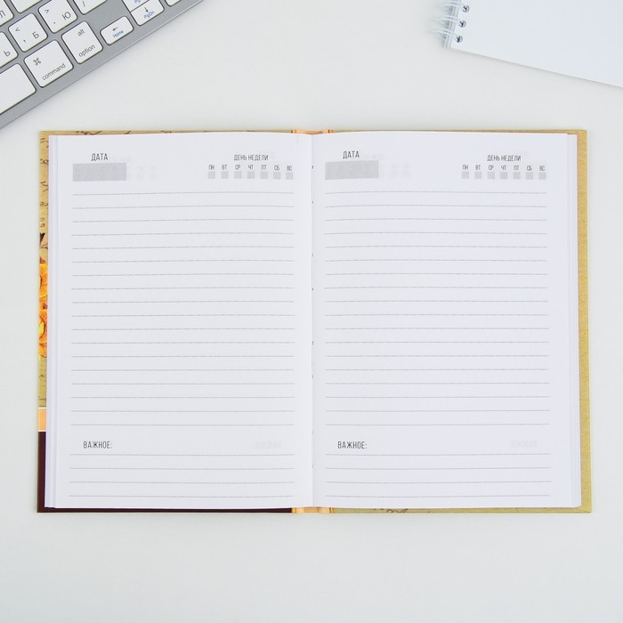 Ежедневник «Учителю: Золотого учителя», формат А5, 80 листов, МИКС Ежедневник «Учителю: Золотого учителя», формат А5, 80 листов, МИКС