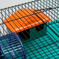 Клетка для грызунов "Пижон" №4, с этажом, укомплектованная, 37х26х18 см, бирюзовая Клетка для грызунов "Пижон" №4, с этажом, укомплектованная, 37х26х18 см, бирюзовая