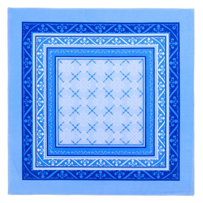 Мужские носовые платки Мужские носовые платки "Этель" размер 30х30 см, (набор 12 шт,), цвет синий, рисунок МИКС