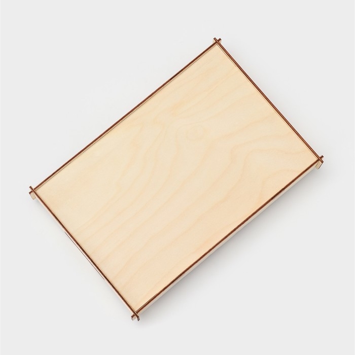 Поднос &laquo;Классика&raquo; 31&times;21&times;5 см