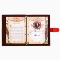 Родословная книга &laquo;Книга нашей семьи&raquo;, 65 листов, 32 х 23 см.