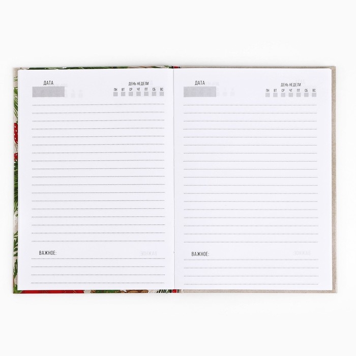 Новый год. Ежедневник классический 7БЦ А5, 80 л «Пусть мечты сбудутся! Волшебство рядом» Новый год. Ежедневник классический 7БЦ А5, 80 л «Пусть мечты сбудутся! Волшебство рядом»