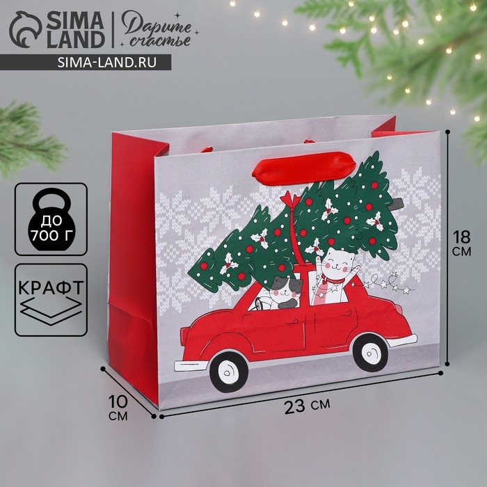 Пакет подарочный новогодний крафтовый горизонтальный &laquo;Спешу к тебе&raquo;, MS 23 х 18 х 10 см, Новый год