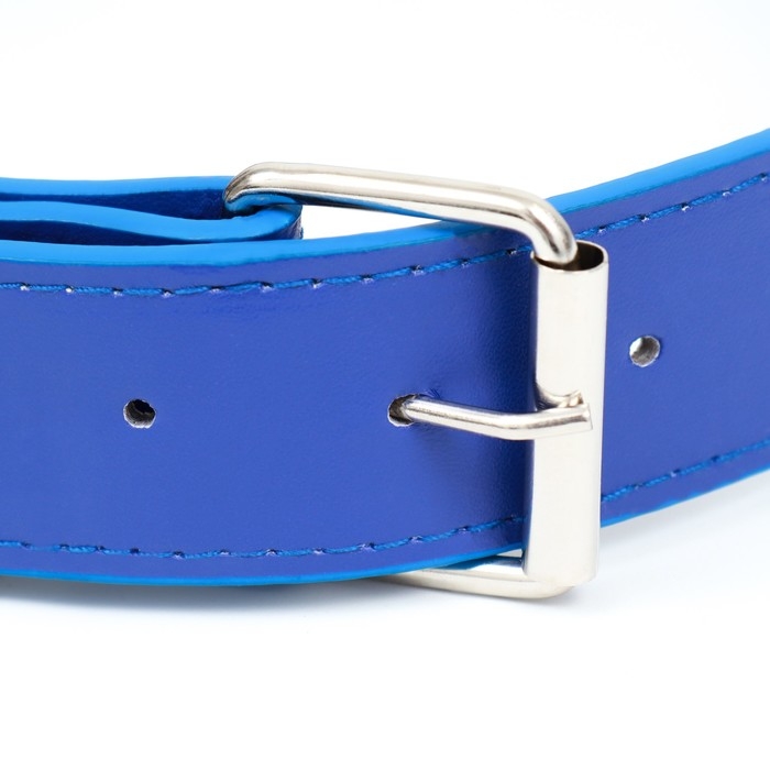Ошейник клёпаный в 2 ряда, 65 х 3,4 см, ОШ 50-60 см, синий