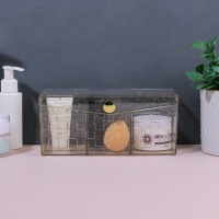 Органайзер для хранения «SHINE», с крышкой, 3 секции, 21,5 × 8,8 × 9,5 см, цвет прозрачный/золотистый Органайзер для хранения «SHINE», с крышкой, 3 секции, 21,5 × 8,8 × 9,5 см, цвет прозрачный/золотистый