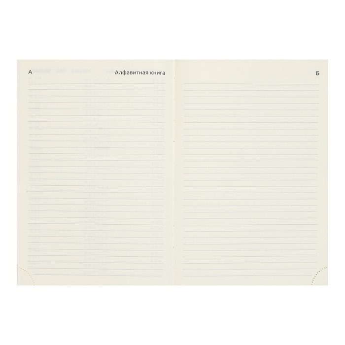 Ежедневник датированный 2024 A5 176 листов, deVENTE.Symbol, твёрдая обложка из искусственной кожи, тиснение фольгой, ляссе, кремовый блок 70 г/м2, чёрный