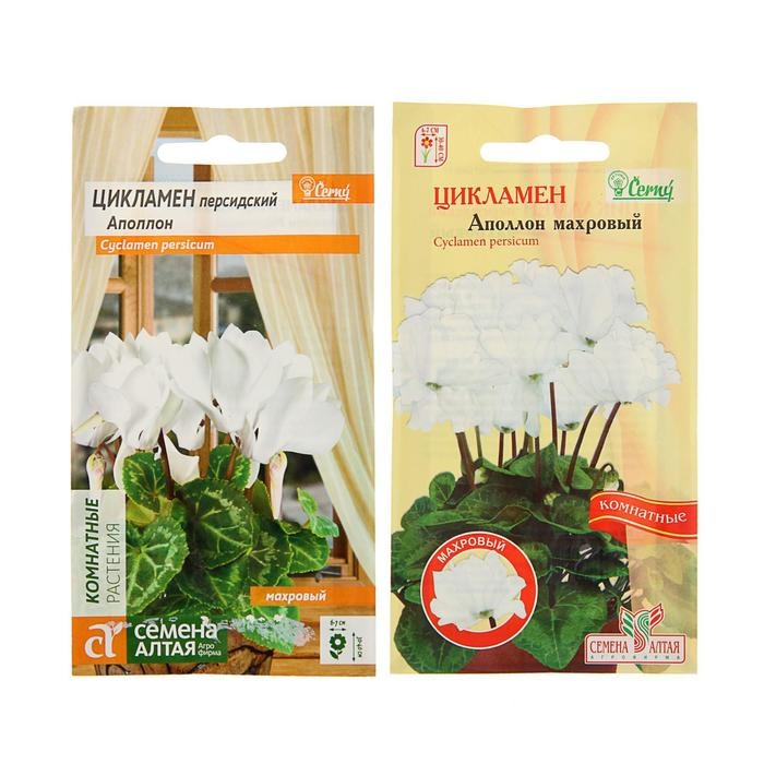 Семена комнатных цветов Цикламен Семена комнатных цветов Цикламен "Аполлон", 3 шт.