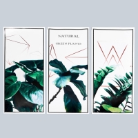 Наклейка пластик интерьерная триптих "Растения и геометрия" набор 3 листа 29,5х61 см