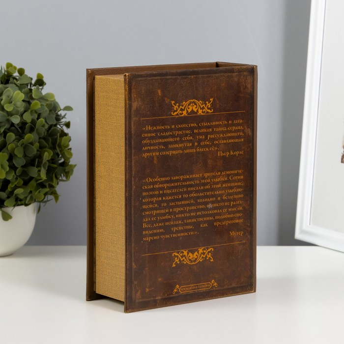 Сейф книга "Мона Лиза" кожзам 22х16х7 см