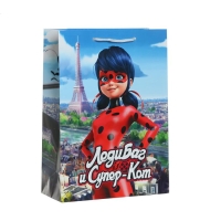 Пакет подарочный &laquo;Леди Баг и Супер-Кот&raquo;, 220х310х100, голубой