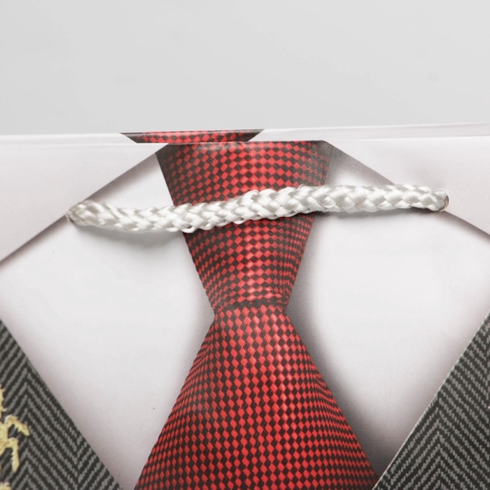 Пакет подарочный ламинированный, упаковка, &laquo;Джентльмен&raquo;, ML 21 х 25 х 8 см