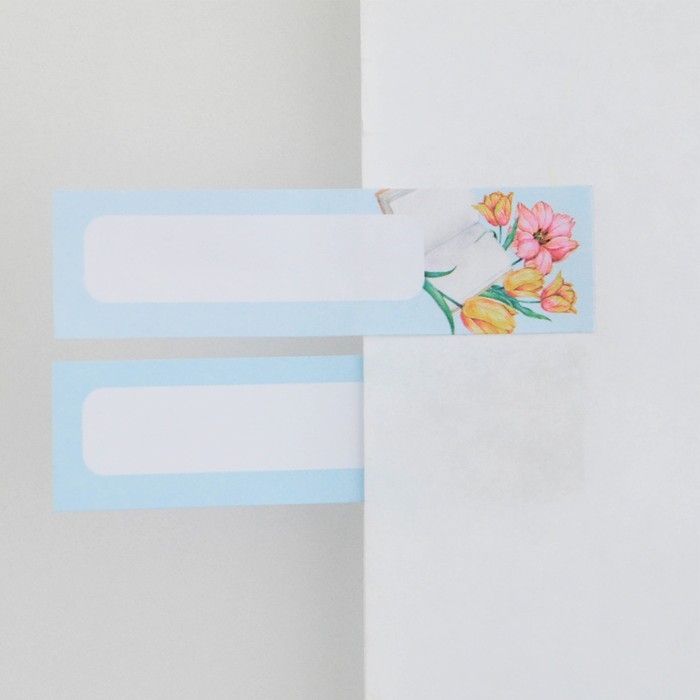 Набор в открытке &laquo;Учителю: Совы&raquo;, стикеры 4 х 20 листов, отрывной блок 30 листов