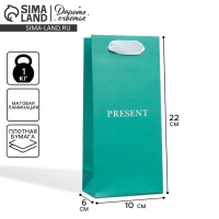 Пакет подарочный ламинированный, упаковка, &laquo;Подарок&raquo;, 10 х 22 х 6 см
