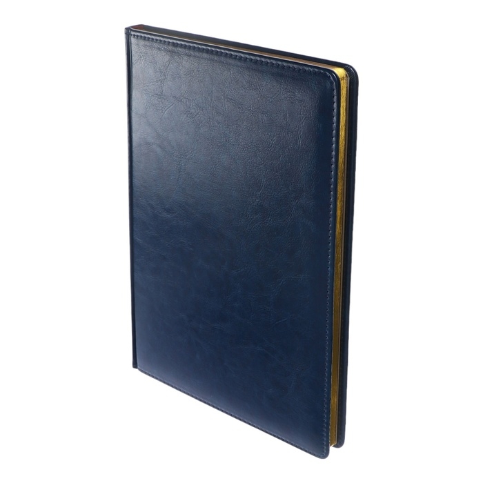 Ежедневник недатированный А4, 136 листов Sidney Nebraska, твёрдая обложка, искусственная кожа, золотой срез, ляссе, синий