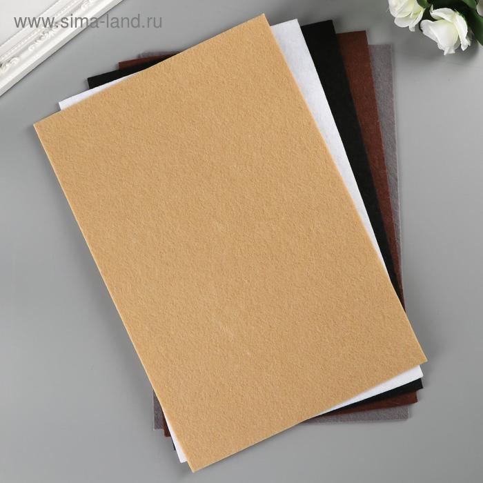 Фетр "BLITZ" 2,2 мм, жёсткий 20х30 см &plusmn; 2 см (набор 5 шт) ассорти №5