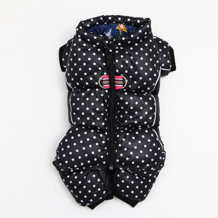 Комбинезон для собак Комбинезон для собак "Горошек", размер 10 (ДС 25, ОГ 34, ОШ 24 см), чёрный