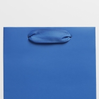 Пакет подарочный под бутылку, упаковка, «Синий», 13 x 36 x 10 см Пакет подарочный под бутылку, упаковка, «Синий», 13 x 36 x 10 см