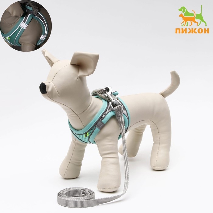 Комплект с мягкой шлейкой, размер XXS, поводок 150 х 1,5 см, ОГ 28-30 см, ОШ 24-26 см, бирюз Комплект с мягкой шлейкой, размер XXS, поводок 150 х 1,5 см, ОГ 28-30 см, ОШ 24-26 см, бирюз