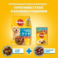 Сухой корм Pedigree для взрослых собак всех пород, говядина, 2,2 кг. Сухой корм Pedigree для взрослых собак всех пород, говядина, 2,2 кг.