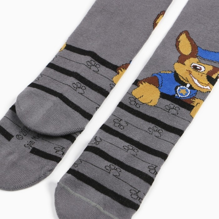 Колготки PAW PATROL &laquo;Гончик&raquo;, цвет серый, 98-104см
